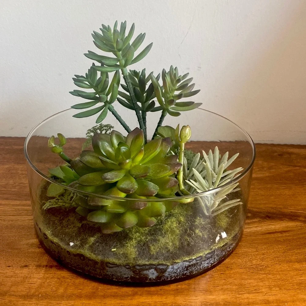 Target Threshold. Succulents in terrarium Glass bowl arrangement.